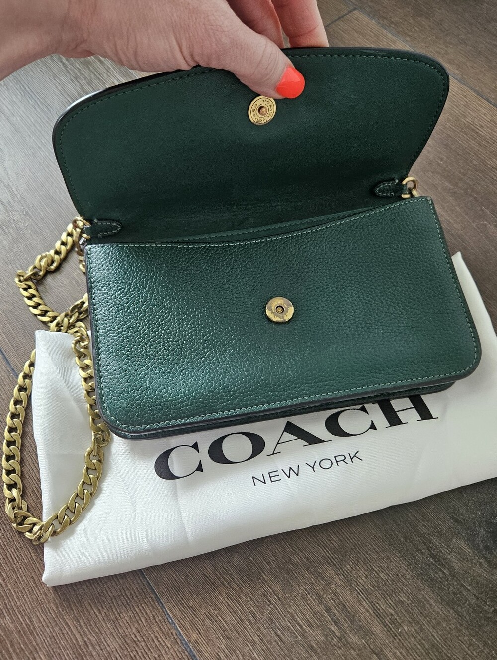 Coach Hayden Foldover Crossbody Wallet Green Pebbled Leather + Gold Chain &Dusty - Picture 10 of 15